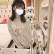 ヒメ日記 2025/05/16 00:25 投稿 ねる まだ舐めたくて学園渋谷校〜舐めたくてグループ〜