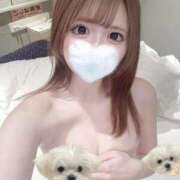 ヒメ日記 2025/11/23 17:37 投稿 ねる まだ舐めたくて学園渋谷校〜舐めたくてグループ〜