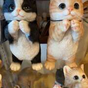 ヒメ日記 2026/02/22 17:14 投稿 るか メンエス案内所