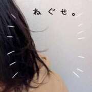 ヒメ日記 2025/04/17 11:51 投稿 しろ 久喜鷲宮ちゃんこ