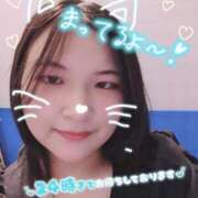 ヒメ日記 2025/05/19 21:51 投稿 しろ 久喜鷲宮ちゃんこ