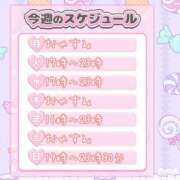 ヒメ日記 2025/06/08 18:02 投稿 しろ 久喜鷲宮ちゃんこ