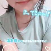 しろ 今日も元気に出勤じゃ〜 久喜鷲宮ちゃんこ