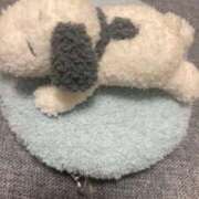 ヒメ日記 2025/11/29 15:28 投稿 えみり 性の極み 技の伝道師　五反田店