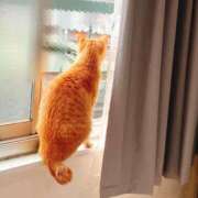 ヒメ日記 2025/03/24 11:11 投稿 りんご ぷるるん小町日本橋店