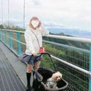 ヒメ日記 2025/04/22 11:22 投稿 りんご ぷるるん小町日本橋店