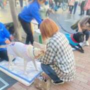 ヒメ日記 2025/05/02 12:03 投稿 りんご ぷるるん小町日本橋店