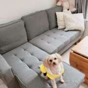 ヒメ日記 2026/02/16 14:17 投稿 りんご ぷるるん小町日本橋店