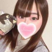 ヒメ日記 2025/11/26 01:12 投稿 ふうか りんくう泉佐野ちゃんこ