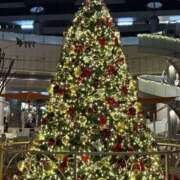 ヒメ日記 2025/12/02 14:02 投稿 ふうか りんくう泉佐野ちゃんこ