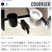 ヒメ日記 2025/12/07 12:03 投稿 ふうか りんくう泉佐野ちゃんこ