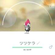 ヒメ日記 2025/12/17 19:02 投稿 ふうか りんくう泉佐野ちゃんこ