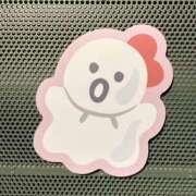 ヒメ日記 2026/03/03 17:05 投稿 ふうか りんくう泉佐野ちゃんこ