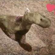 ヒメ日記 2026/03/10 19:45 投稿 ふうか りんくう泉佐野ちゃんこ