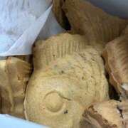 ヒメ日記 2026/03/28 18:42 投稿 ふうか りんくう泉佐野ちゃんこ