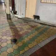 ヒメ日記 2026/04/05 19:02 投稿 ふうか りんくう泉佐野ちゃんこ