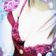 ヒメ日記 2025/04/30 01:22 投稿 みてき 池袋サンキュー