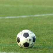 ヒメ日記 2025/04/08 14:11 投稿 そら ダイスキ