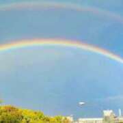 ヒメ日記 2025/07/18 12:26 投稿 そら ダイスキ