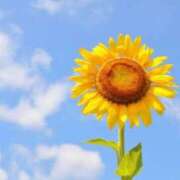 ヒメ日記 2025/08/02 12:15 投稿 そら ダイスキ