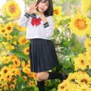 ヒメ日記 2025/04/25 18:40 投稿 桜井　こと ウルトラグレイス24