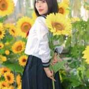 ヒメ日記 2025/04/25 18:28 投稿 桜井　こと ウルトラグレイス24