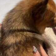 ヒメ日記 2025/10/06 19:28 投稿 桜井　こと ウルトラグレイス24