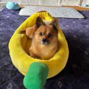 ヒメ日記 2025/11/06 10:30 投稿 桜井　こと ウルトラグレイス24