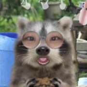 ヒメ日記 2025/11/29 12:21 投稿 桜井　こと ウルトラグレイス24