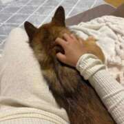 ヒメ日記 2025/12/04 12:48 投稿 桜井　こと ウルトラグレイス24