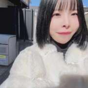 ヒメ日記 2026/01/29 14:50 投稿 桜井　こと ウルトラグレイス24