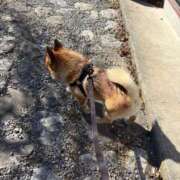 ヒメ日記 2026/02/02 14:50 投稿 桜井　こと ウルトラグレイス24