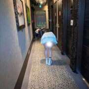 ヒメ日記 2026/02/24 10:25 投稿 桜井　こと ウルトラグレイス24