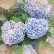 ヒメ日記 2025/06/15 15:18 投稿 ゆず 池袋あられ