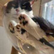 ヒメ日記 2025/12/27 16:19 投稿 ゆず 池袋あられ