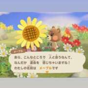 ヒメ日記 2025/11/01 18:12 投稿 なぎさ 吉原ファーストレディ