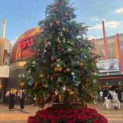 ヒメ日記 2025/11/22 15:26 投稿 なぎさ 吉原ファーストレディ