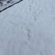 ヒメ日記 2026/02/08 09:56 投稿 なぎさ 吉原ファーストレディ