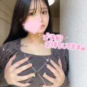 ヒメ日記 2025/03/31 02:56 投稿 メタ 155