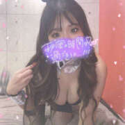 ヒメ日記 2026/02/24 11:06 投稿 メタ 155