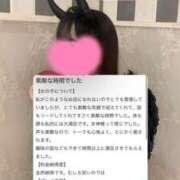 ヒメ日記 2025/04/12 11:38 投稿 みみ ソープランド AQUA（アクア）