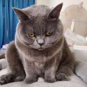 ヒメ日記 2025/08/19 16:52 投稿 みみ ソープランド AQUA（アクア）