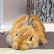 ヒメ日記 2025/10/04 07:42 投稿 みみ ソープランド AQUA（アクア）