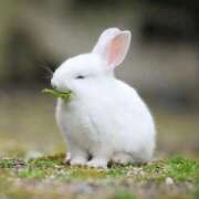 ヒメ日記 2025/10/04 15:19 投稿 みみ ソープランド AQUA（アクア）