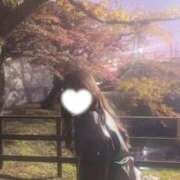 ヒメ日記 2025/11/07 23:48 投稿 みみ ソープランド AQUA（アクア）