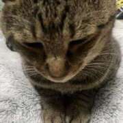 ヒメ日記 2025/11/23 08:48 投稿 みみ ソープランド AQUA（アクア）