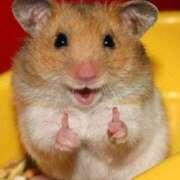 ヒメ日記 2025/12/27 18:00 投稿 みみ ソープランド AQUA（アクア）