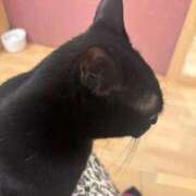 みみ 推し活中🐱 ソープランド AQUA（アクア）