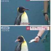 ヒメ日記 2026/08/04 23:08 投稿 みみ ソープランド AQUA（アクア）