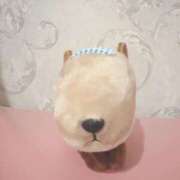 ヒメ日記 2025/03/24 14:39 投稿 しずえ 新宿プチドール